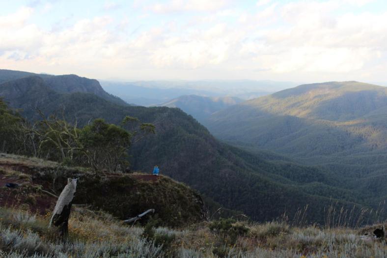 Dimmicks Lookout, Alpine NP
