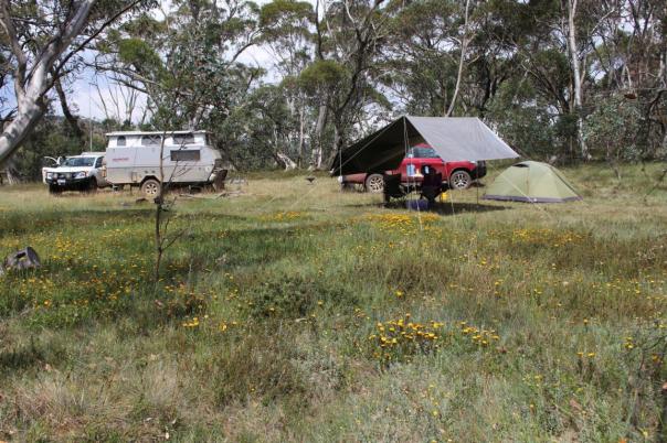 Unser Camp im High Country auf gut 1.500 Meter