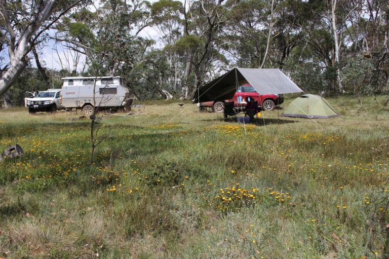 Unser Camp im High Country auf gut 1.500 Meter