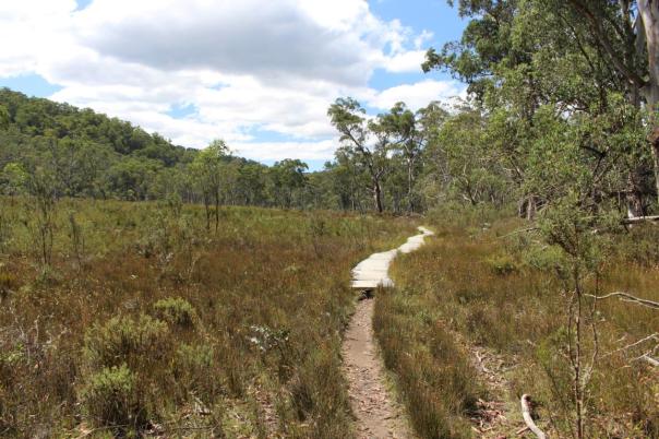 Spaziergang zu dem Wasserfall beim Horseyard Flat, Alpine NP
