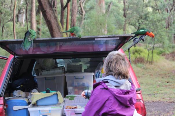 Da ist doch bestimmt was zum Essen drin ......