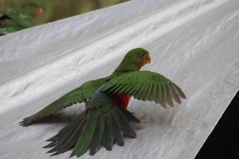 Tolle Rutschbahn unser Tarpe