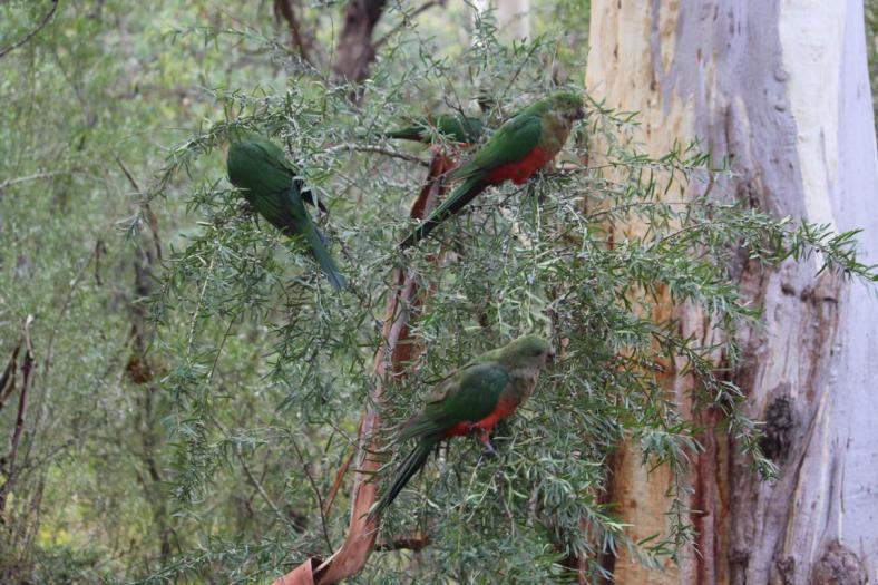Sie besuchen uns täglich