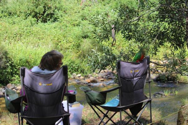 Susi bekommt Gesellschaft, Howqua River