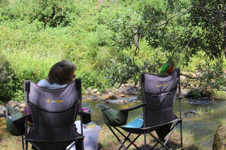 Susi bekommt Gesellschaft, Howqua River