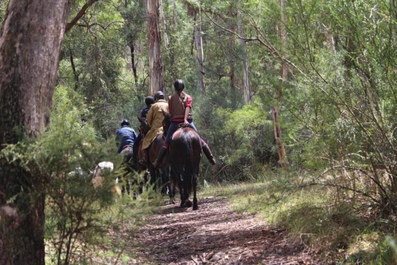 Beliebtes Ausflugsziel für Reiter, Howquard River