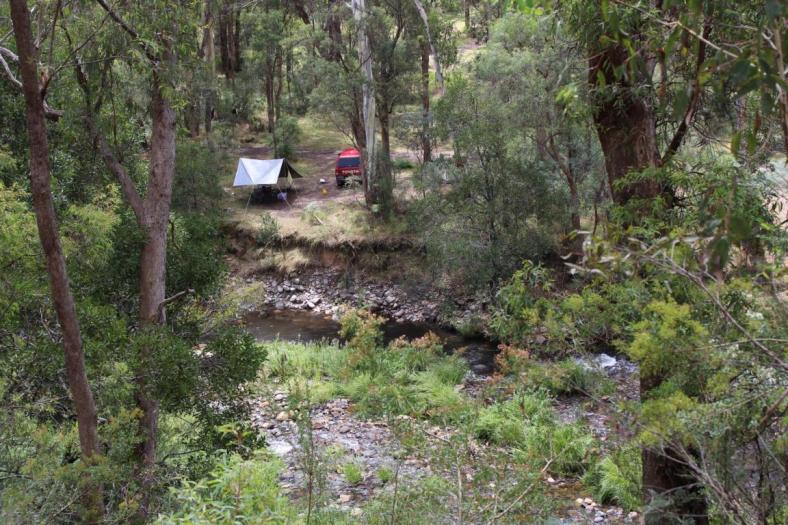 Camp am Howqua River