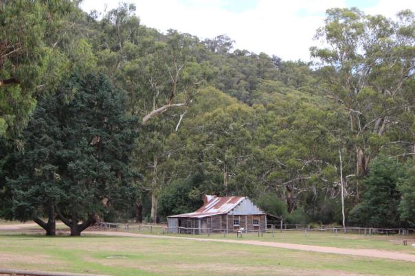 Frey's Hut, Howqua Hills