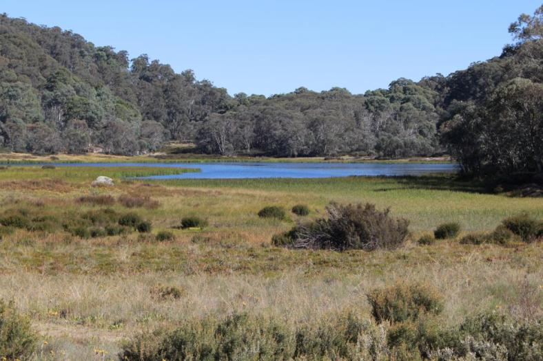 Lake Catani, Mount Buffalo NP
