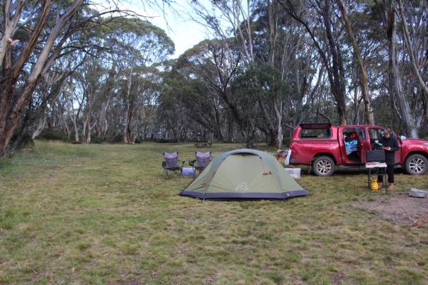Buckety Plain, Camp in den Bogong High Plaints