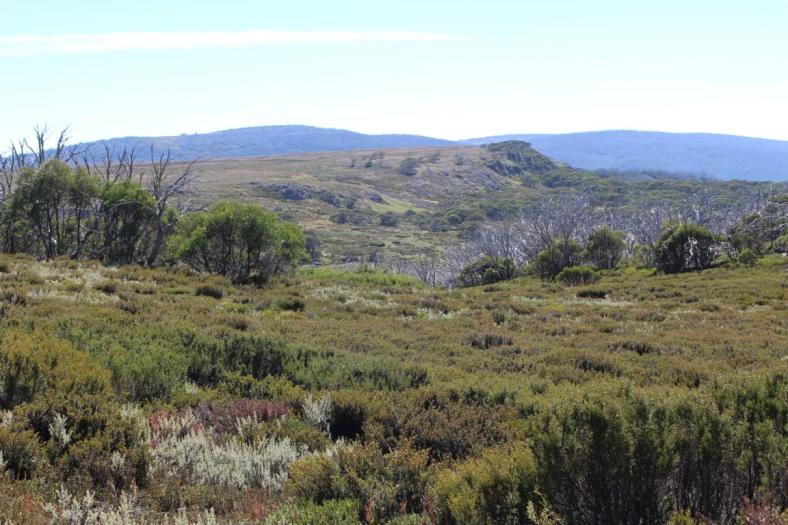 Wallaces Heritage Trail, Bogong High Plaints