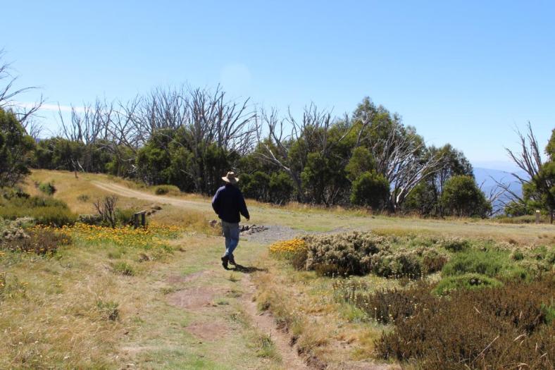 Wallaces Heritage Trail, Bogong High Plaints