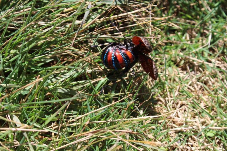 Der arme Kerl will uns so vertreiben und wir finden es faszinierend