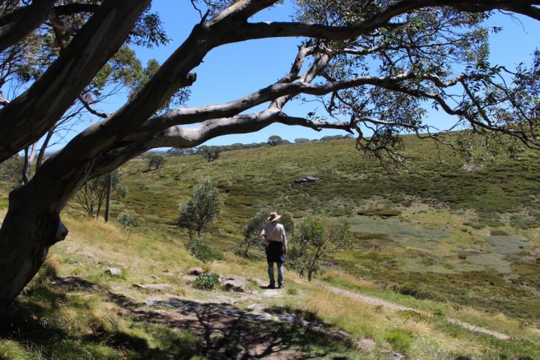 Wallaces Heritage Trail, Bogong High Plaints