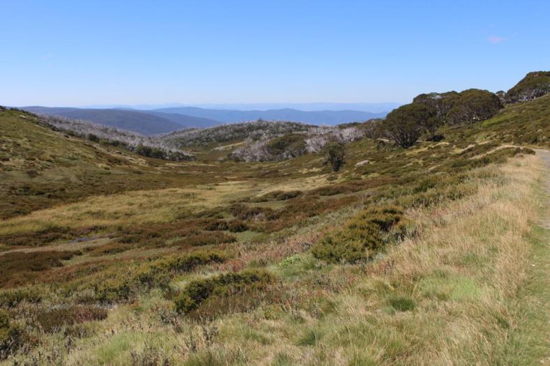Wallaces Heritage Trail, Bogong High Plaints
