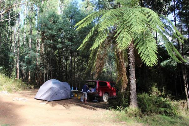 Hier sind wir sicher, Anderson Mill bei Marysville