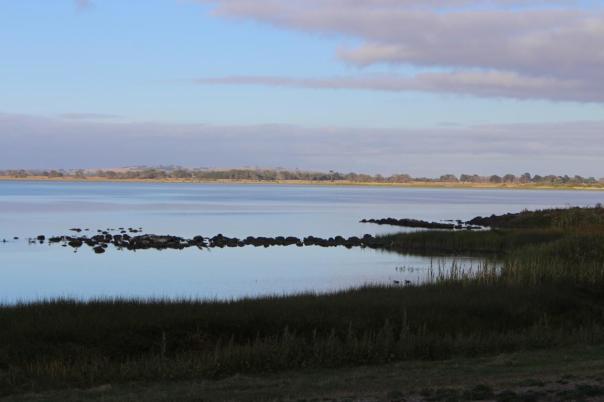 Lake Colac