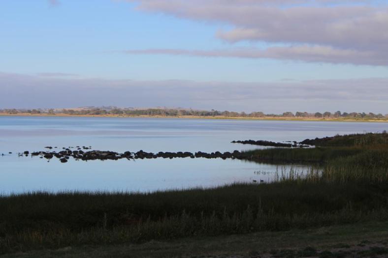 Lake Colac
