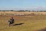 Schafe auf dem air strip am Lake Colac Camp