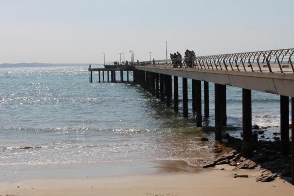 Wir sind gespannt, was die Jettybesucher im Wasser sehen, Lorne