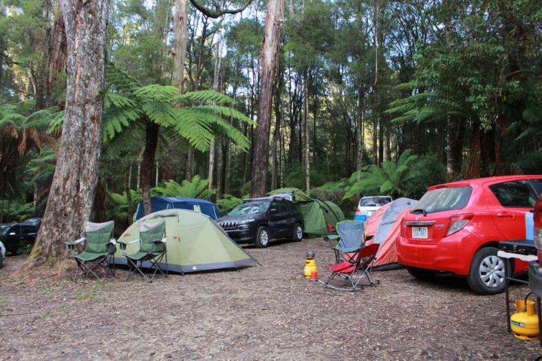 Camp am Aire River, Great Otway NP