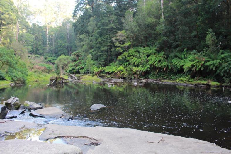Aire Falls, Great Otway NP