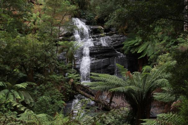 Triplet Falls, Great Otway NP