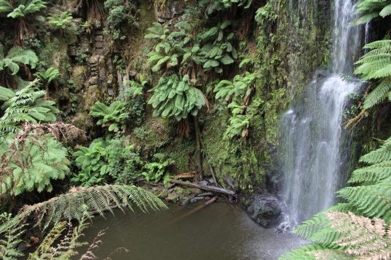 Beauchamp Falls, Great Otway NP