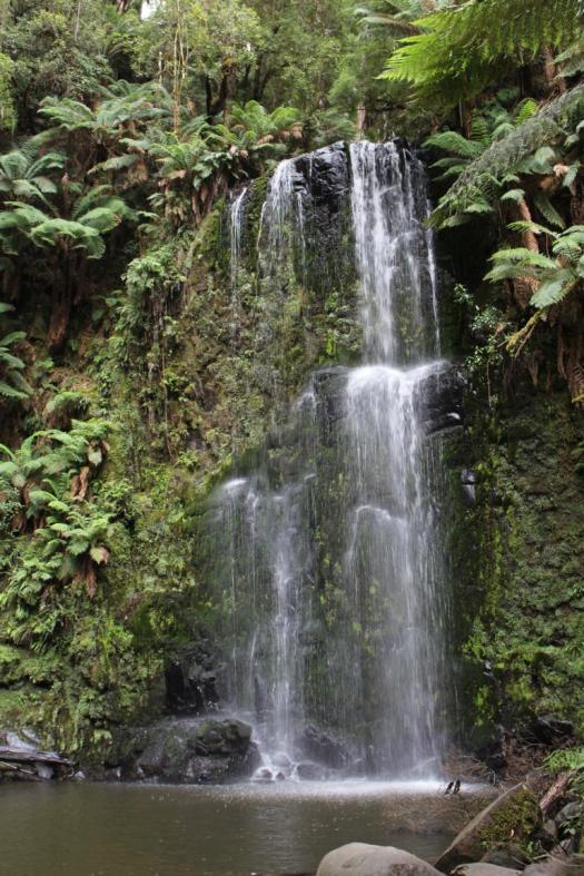 Beauchamp Falls, Great Otway NP