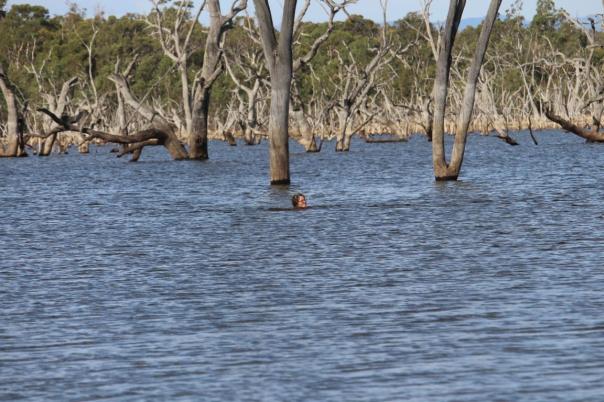 Rocklands Reservoir