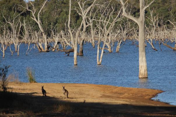 Rocklands Reservoir