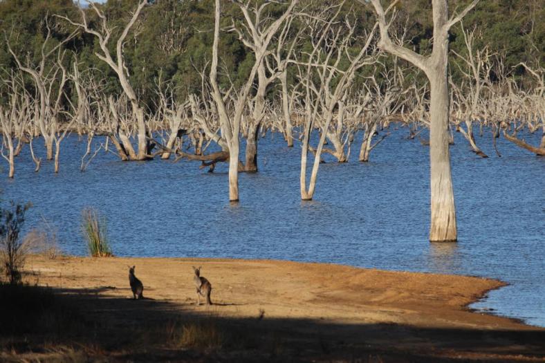 Rocklands Reservoir