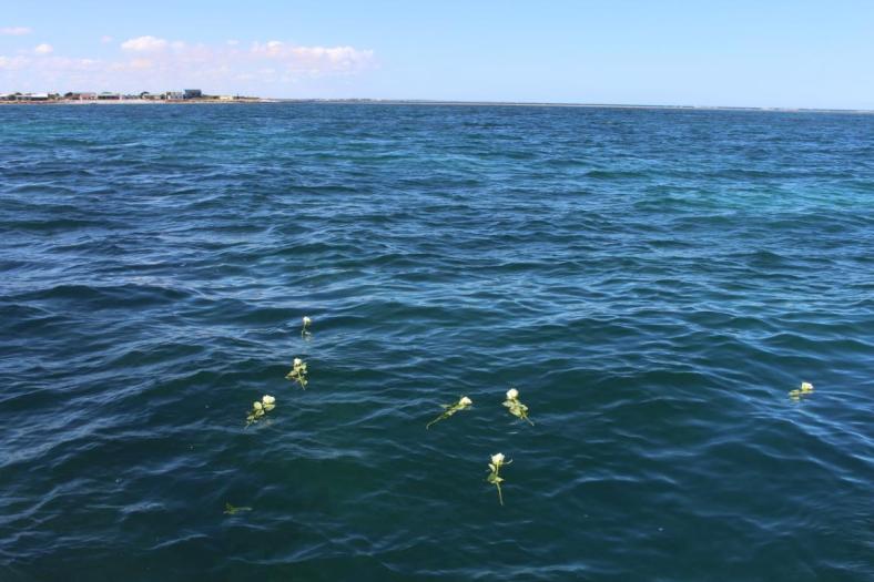 Abschied von Margret und ein letzter Gruß, Pelican Point